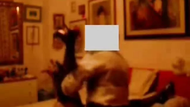 Nyelje le xxx baszas egy-két